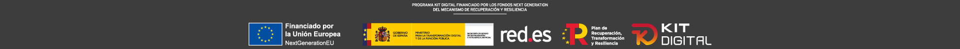 Tienda online financiada por el Kit Digital